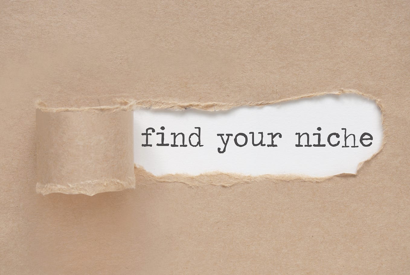 Identifying Your Niche